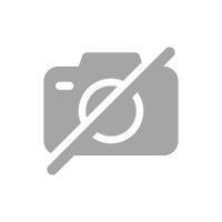 Easy Kale Pesto with Walnuts